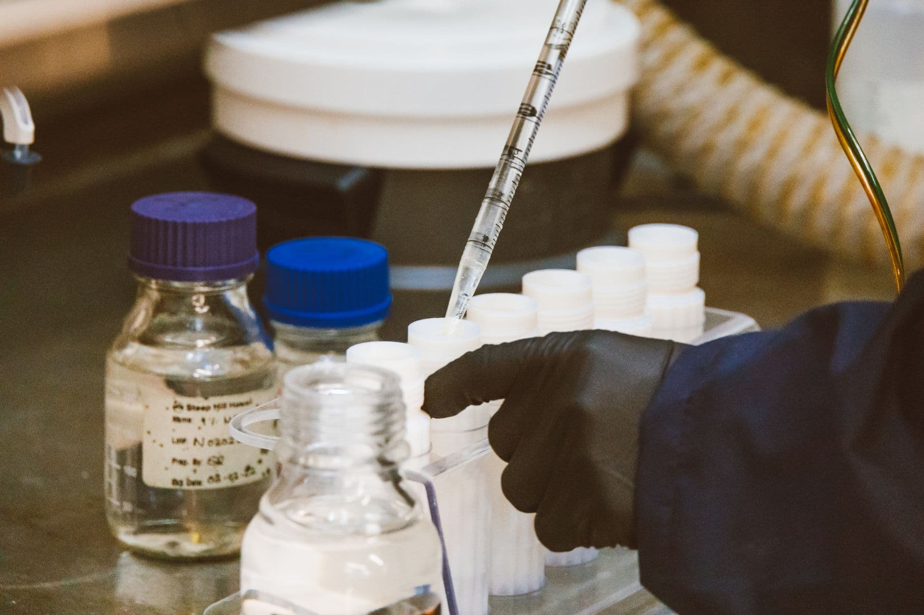 Beginner's Guide to Research Peptides