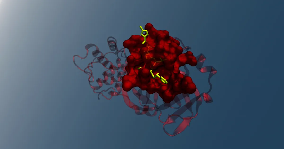 Beta-Arrestin Recruitment Assays: How BRET Reads GPCR Signaling