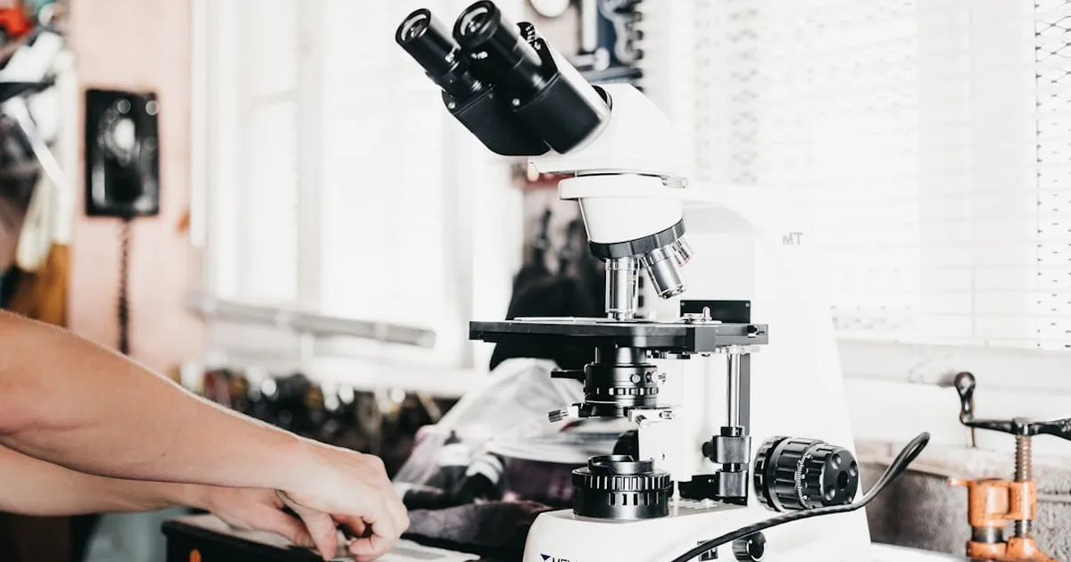 BPC-157 Chemical Structure and In-Vitro Research Applications