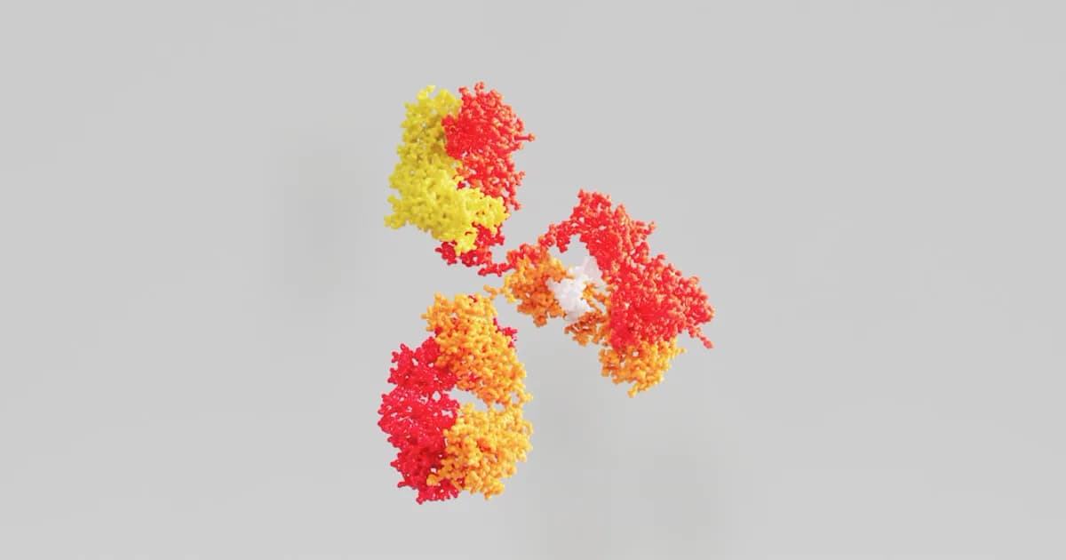 Calcium Flux Assays and FLIPR: Reading Receptor Activation in Real Time
