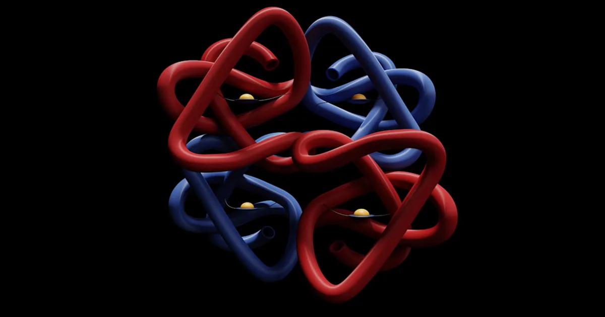 Cyclic vs Linear Peptides: How a Ring Changes Conformation, Rigidity, and Stability