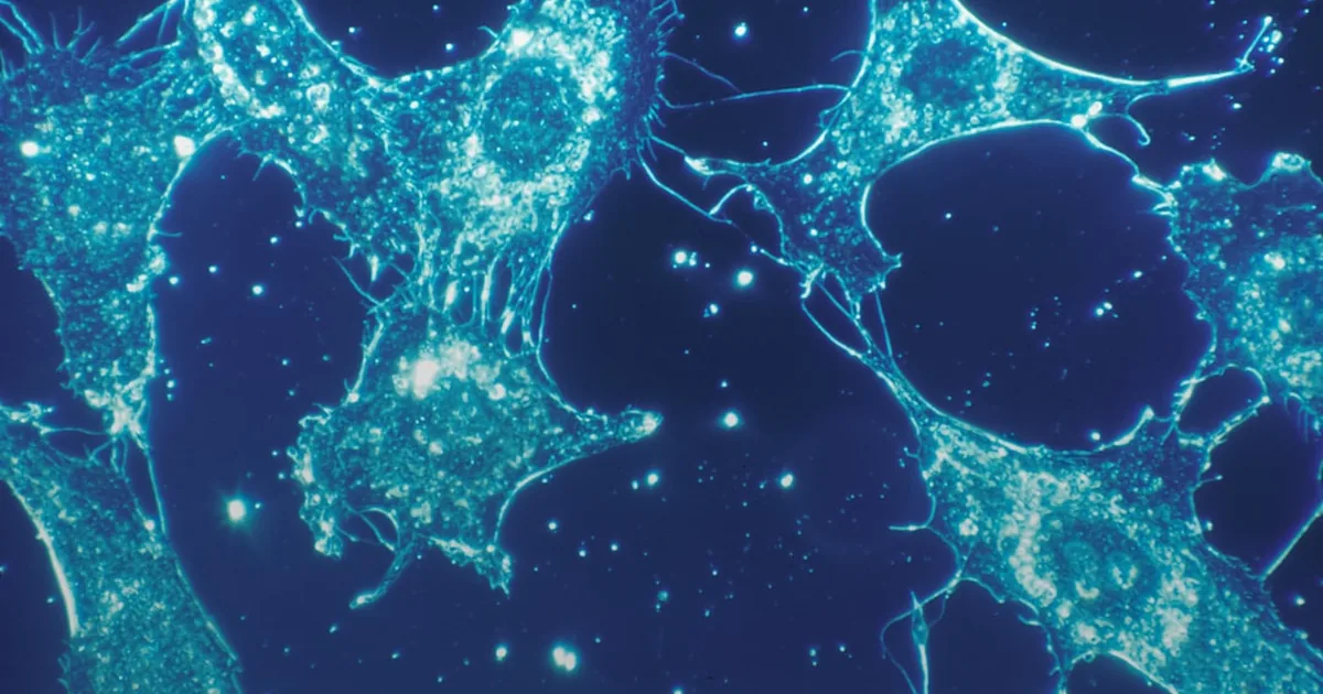Epitalon Explained: The Tetrapeptide Studied for Cellular Lifespan in the Lab
