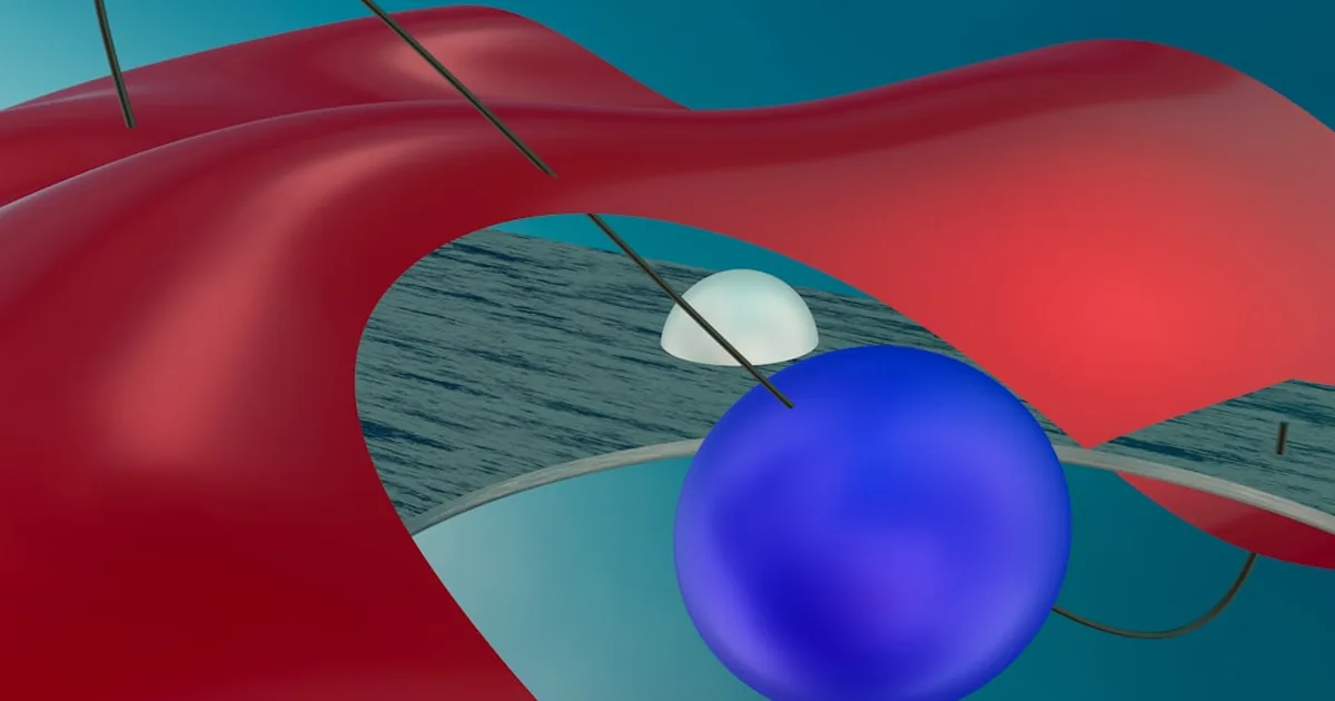 Floppy vs Rigid Peptides: What Shape Tells You About Function