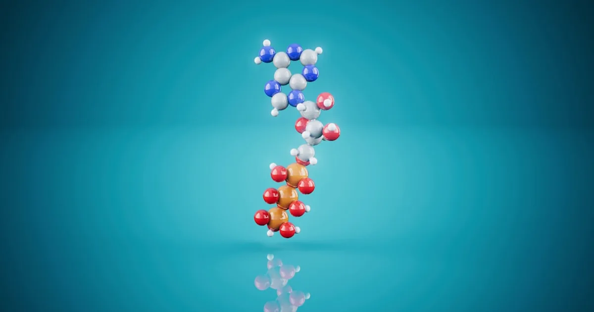 How Are Synthetic Peptides Actually Made? A Plain Look at the Process