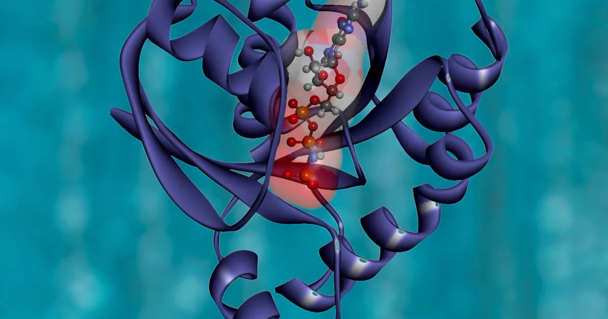 Humanin Peptide Structure: Inside a 24-Residue Mitochondrial-Derived Peptide
