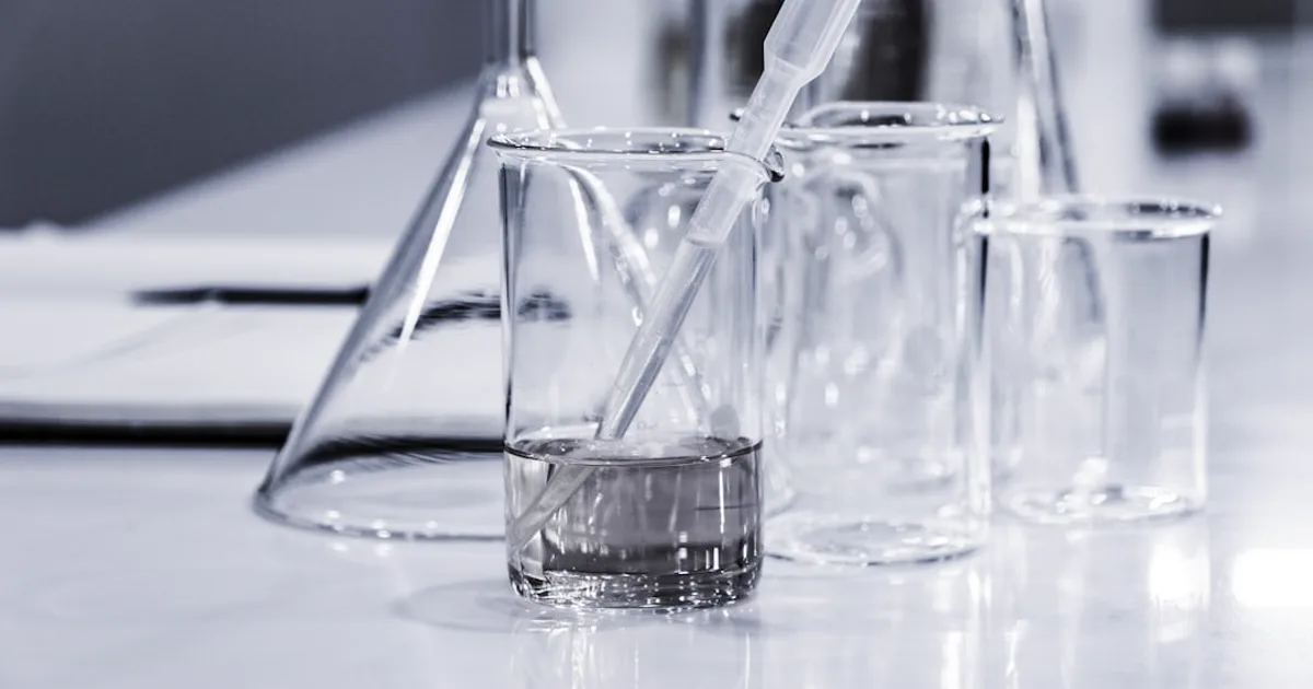The In-Vitro Scratch Assay: How Labs Measure Cell Migration