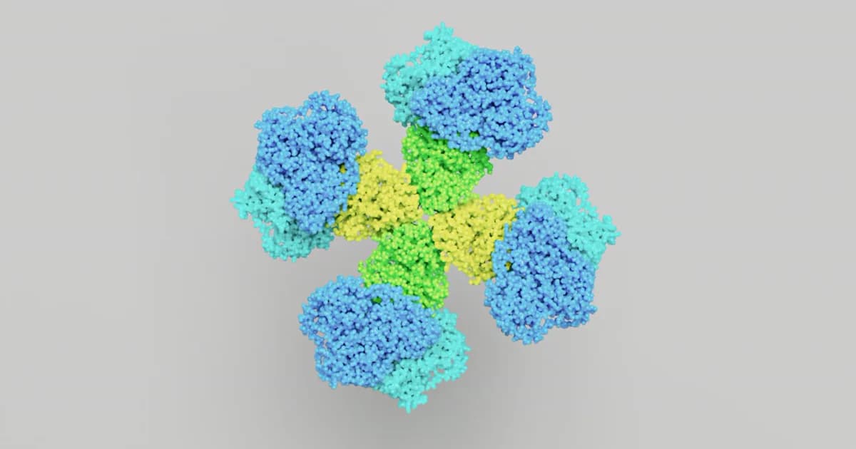 The Incretin Peptide Class: GLP-1 and GIP Structure Explained
