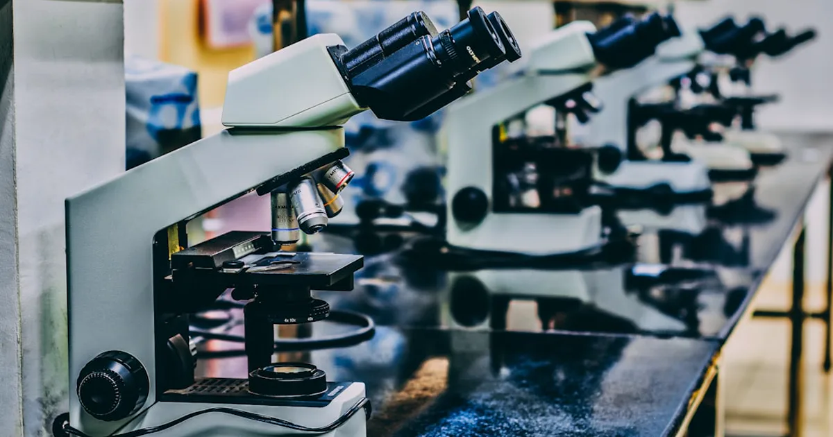 KPV Peptide Research: The C-Terminal Alpha-MSH Fragment in NF-kB Assays