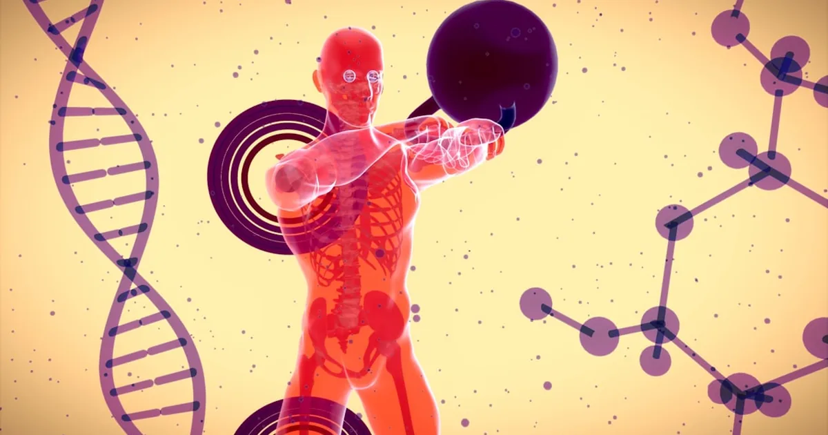 LL-37: Your Body's Own Antimicrobial Peptide, Used in Research