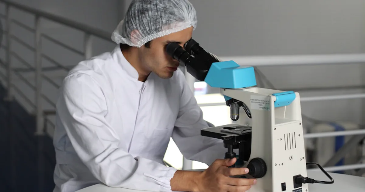 Melanocortin Peptides Explained: The HFRW Motif and the MC1R-MC5R Family