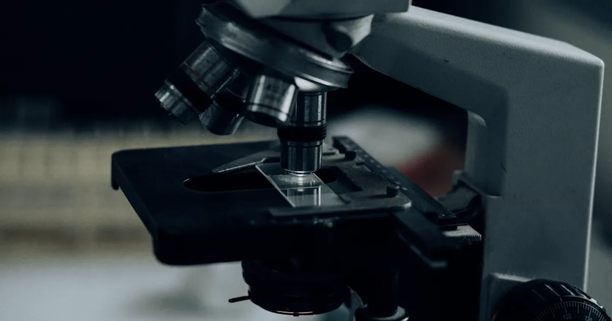 The Natriuretic Peptide Family: ANP, BNP, CNP and the Shared cGMP System