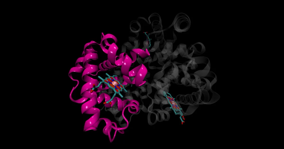 The Opioid Peptide Family: Enkephalins, Endorphins, and Dynorphins