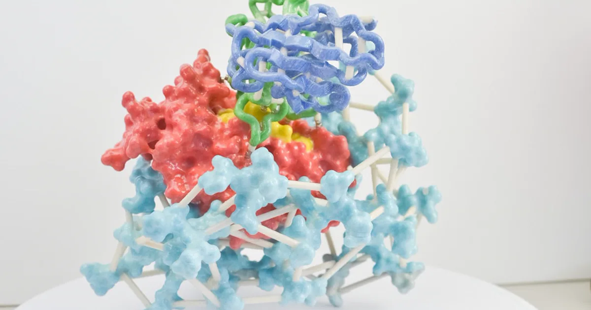 Peptide Aggregation and Fibrillation: The Self-Assembly Chemistry