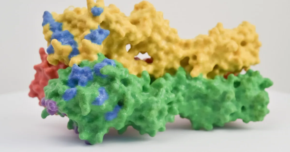 Peptide Hydrophobicity and How RP-HPLC Retention Measures It