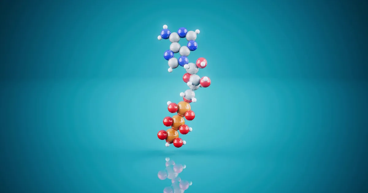 PEGylation Chemistry: How PEG Conjugation Changes a Peptide's Properties
