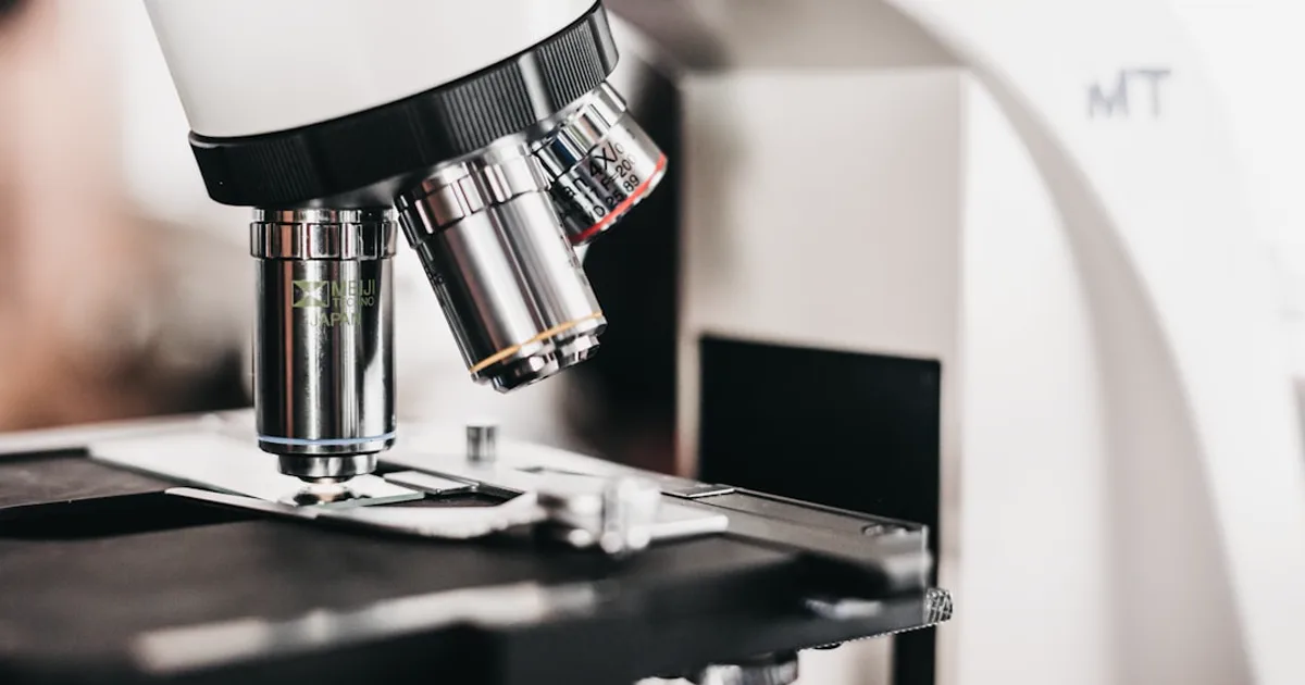 Stapled Peptides Explained: Hydrocarbon Staples and Helix Locking
