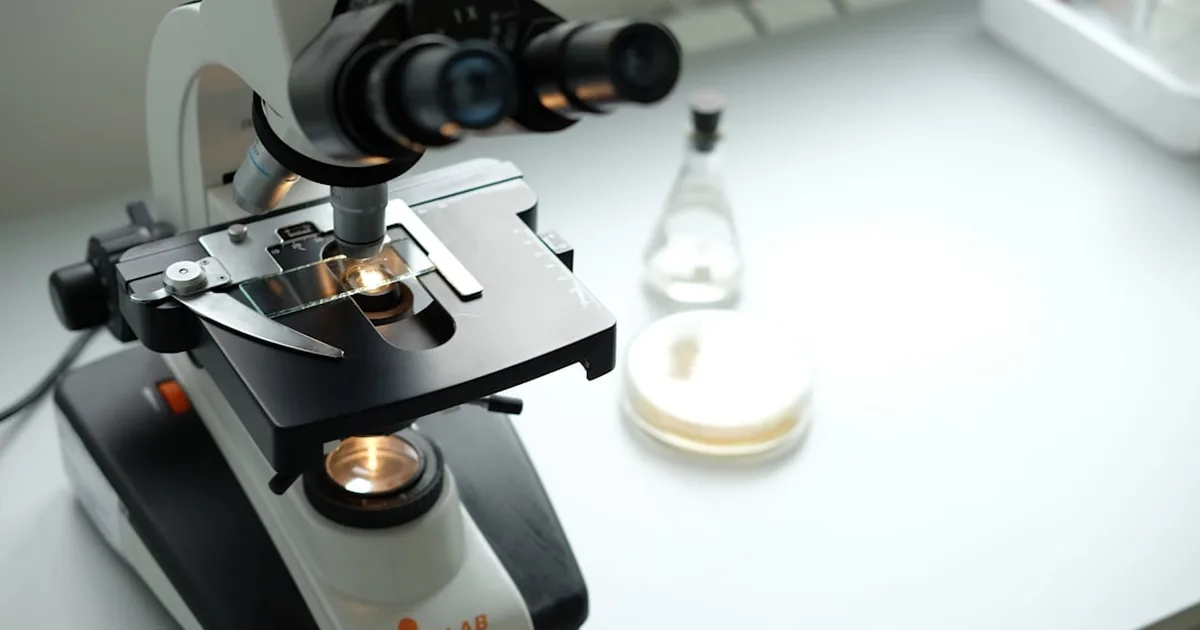 TB-500 Chemical Structure and In-Vitro Research Applications