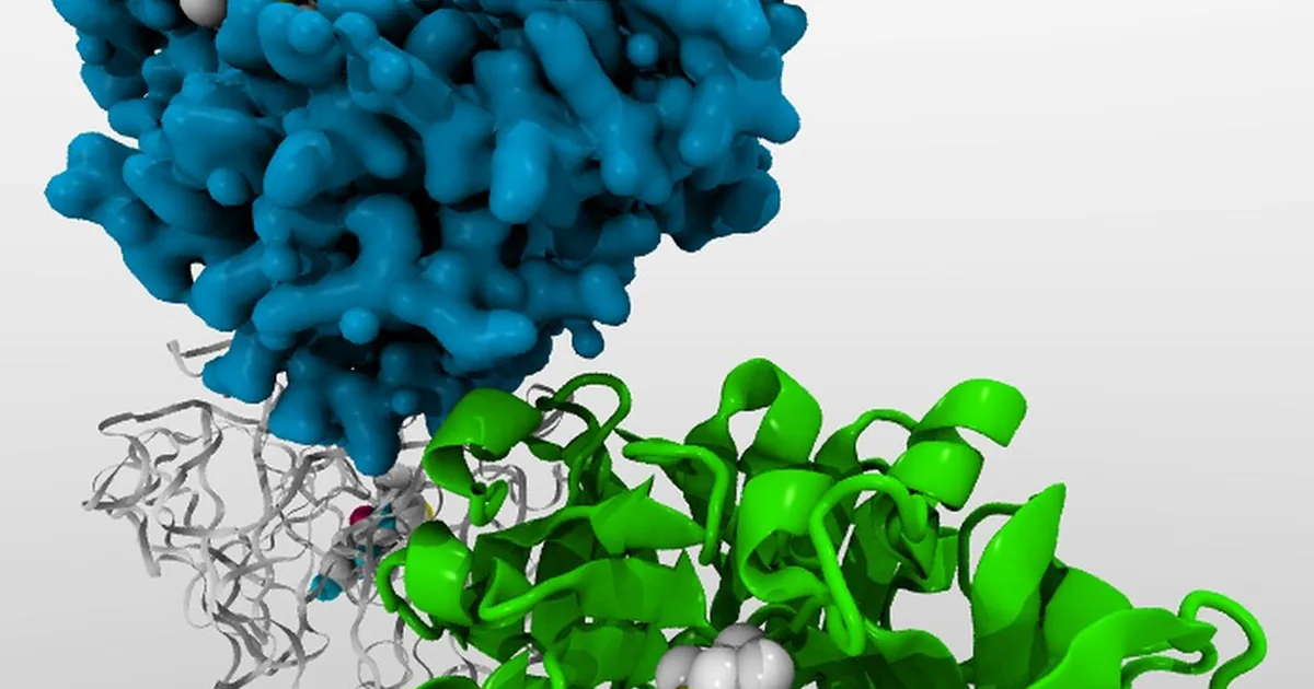 Why Research Peptides Come as a White Powder: Lyophilization Explained